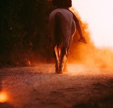 Horseback